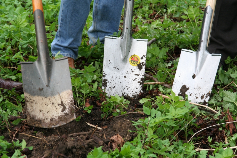 pepiniere-MASSOINS-min_work-lawn-flower-tool-green-backyard-1103633-pxhere.com